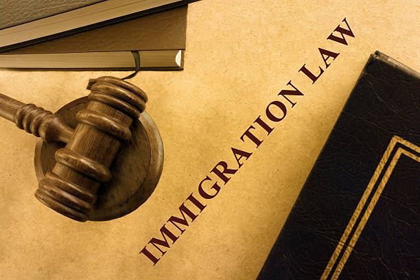 Immigration Habeas Corpus Attorney
